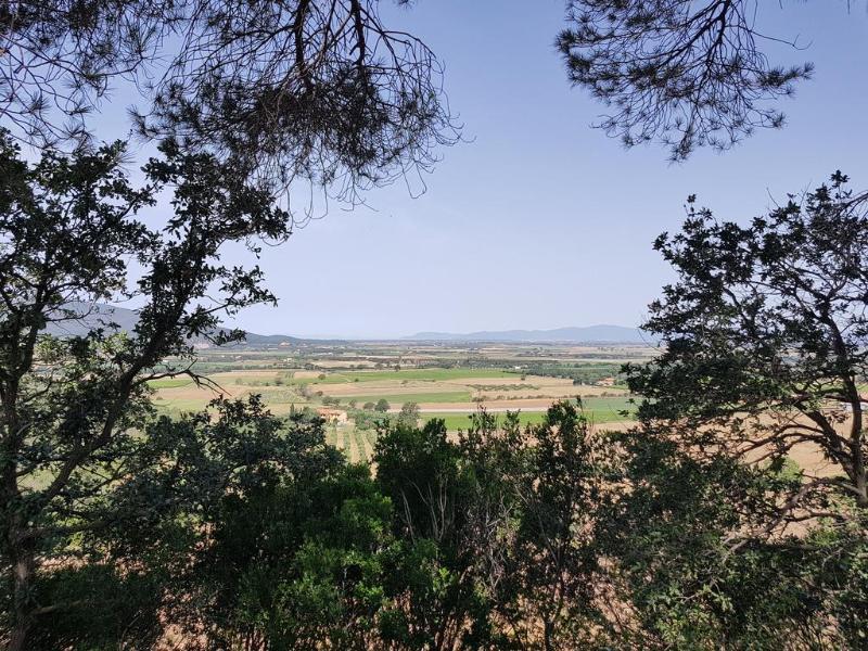 Poggio Alto Agrioturismo Vila Grosseto Exterior foto